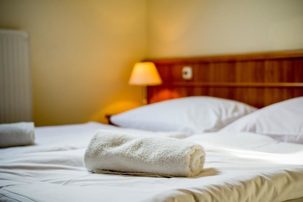 Фото Hotel Corvinus