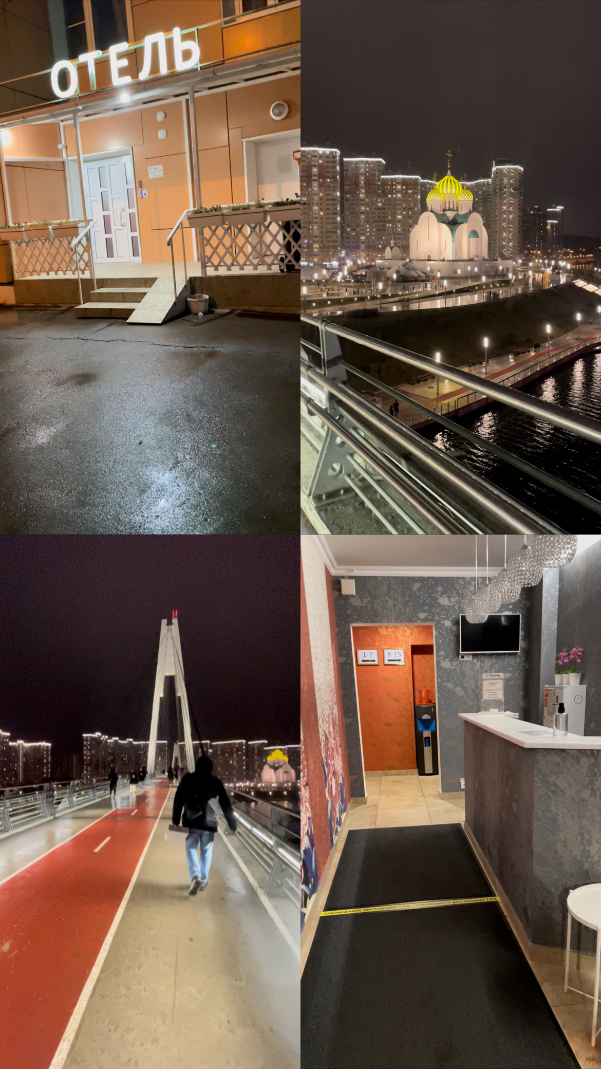 Фото Crocus Star