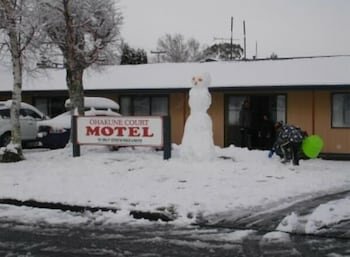 Гостиница Ohakune Court Motel