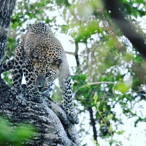 Внешний вид отеля Lavendish Okrin Hotel в Катарагаме, фото 4