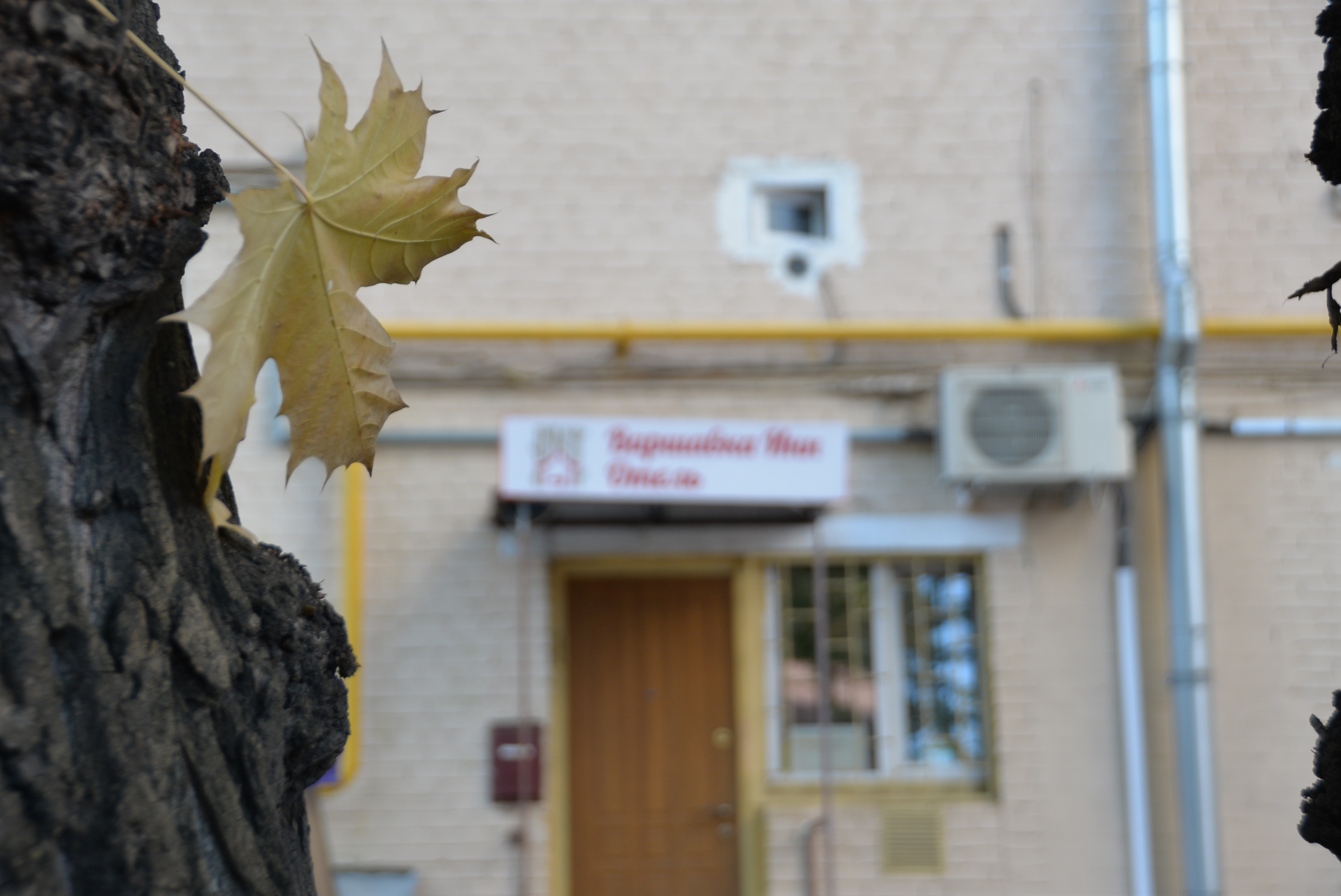 Фото Варшавка ИНН