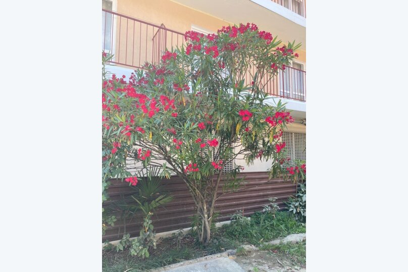 Фото Южаночка