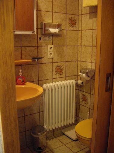 Фото Alpenhotel Sonneck