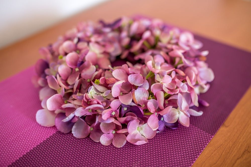 Фото Garden Apartment Hotel