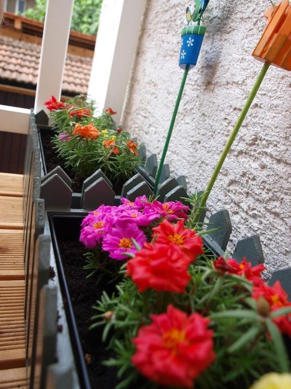 Фото Witty Please & Bardot