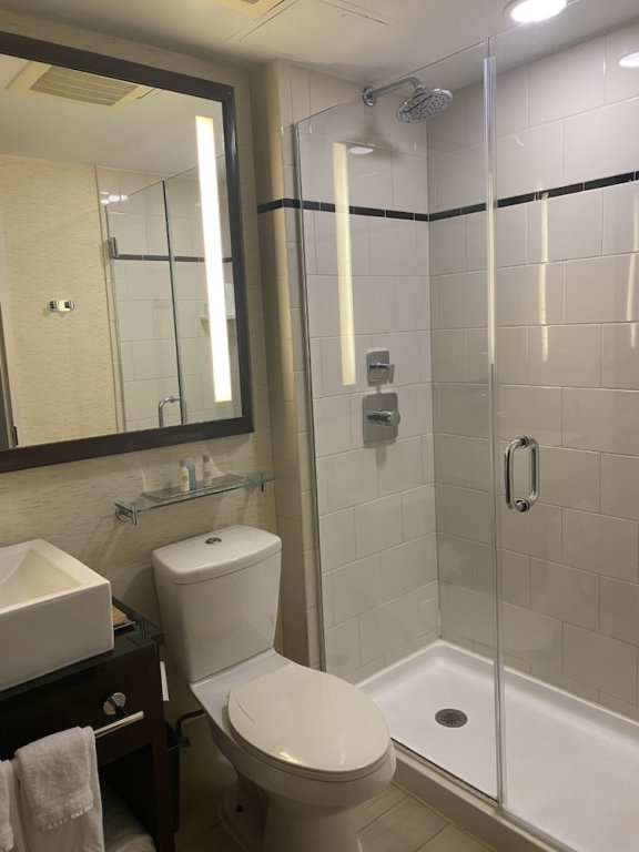 Фото DoubleTree by Hilton New York Downtown