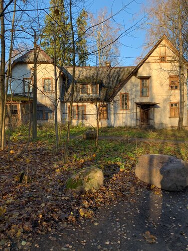 Leningrad viloyati, Koltushi, Vsevolojsk tumanidagi samimiy xizmatlar