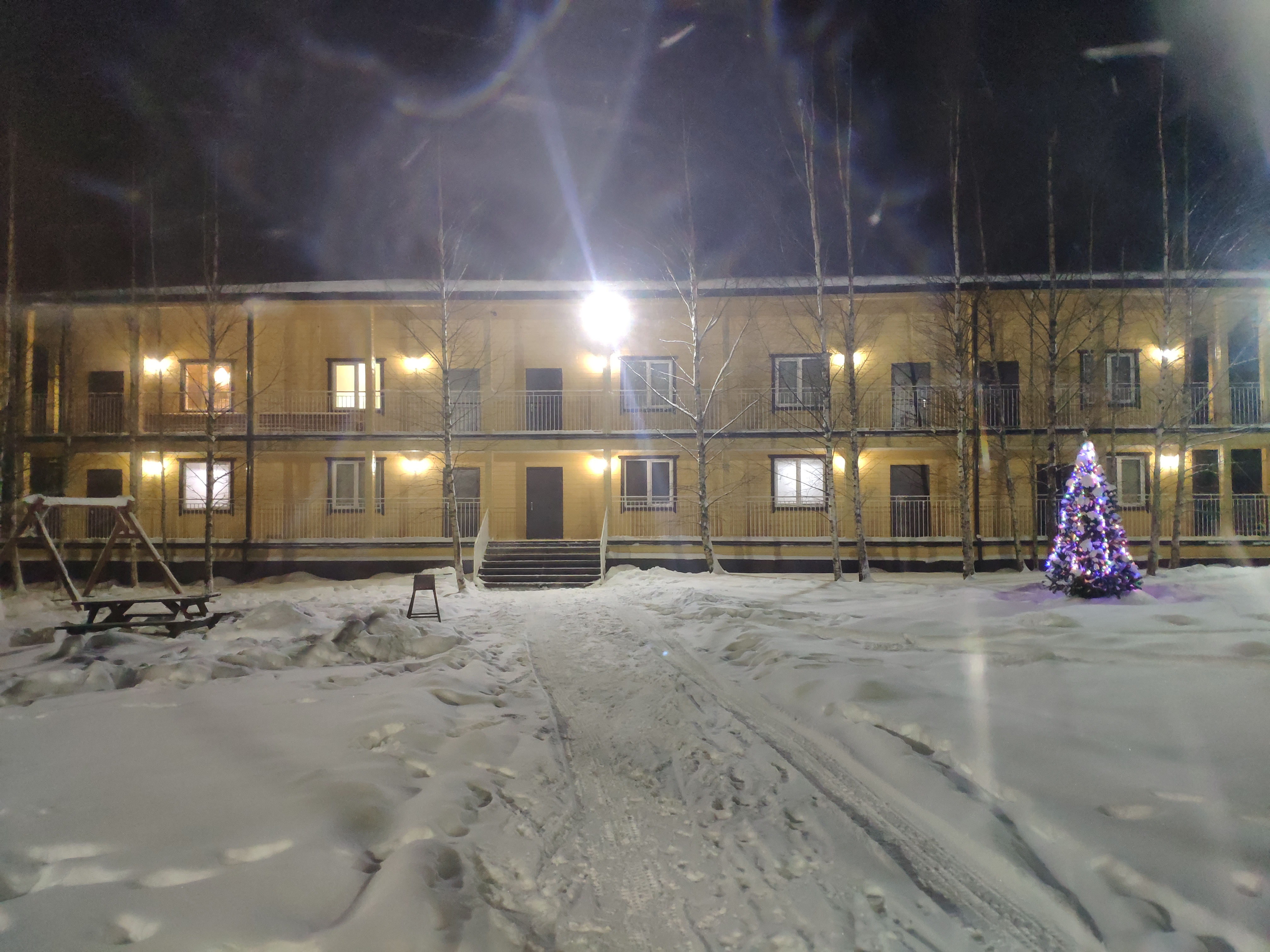 Фото Березки