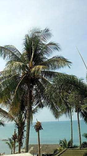 Фото Plaloma Cliff Resort