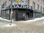 Azaliya (ulitsa Soni Krivoy, 39), flower shop