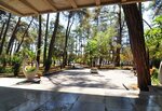 GosDacha Ldzaa (Lidzava, ulitsa Politruka Nozadze, 35), resort