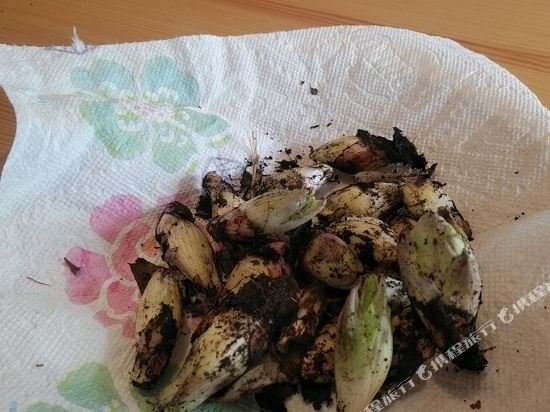 Фото Pension Cottontail