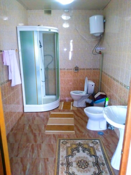 Фото Светлячок