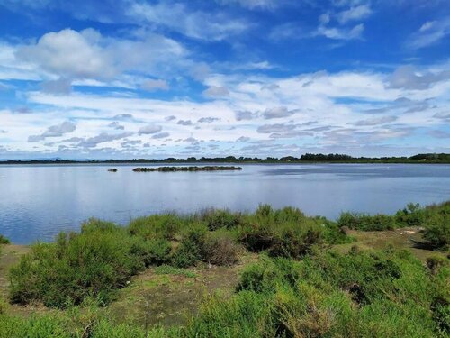 Внешний вид отеля Hôtel des Croisades в Эг-Морте, фото 4