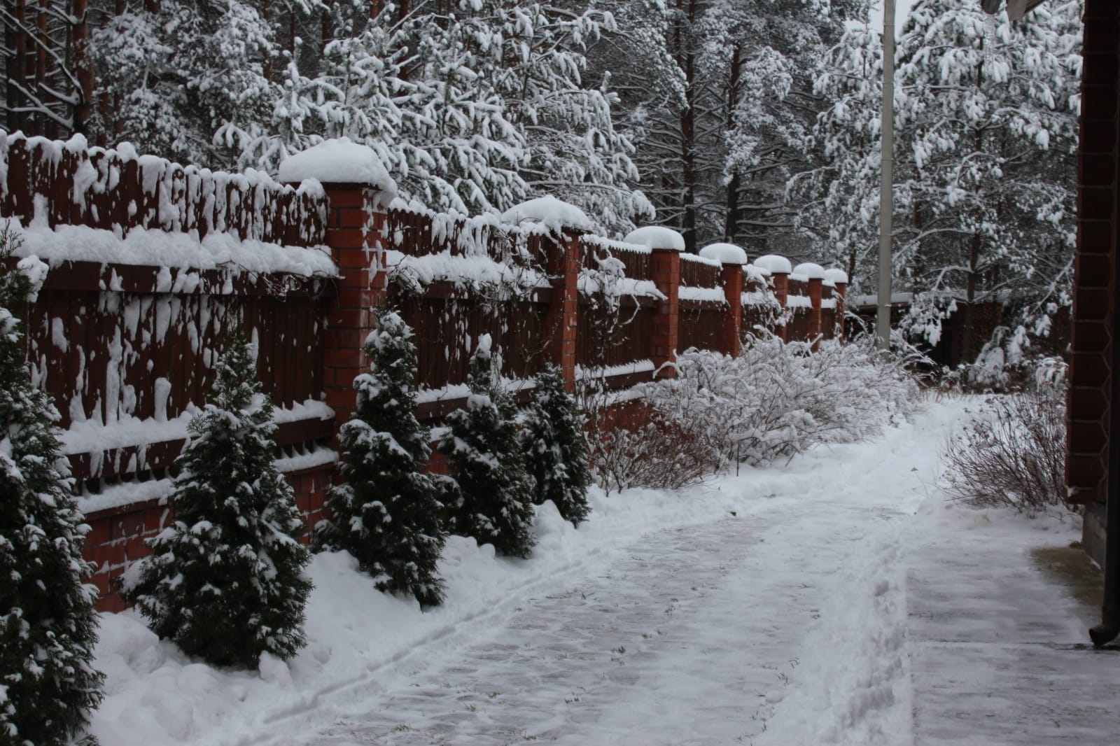 Фото Агроусадьба Лесной Эдем