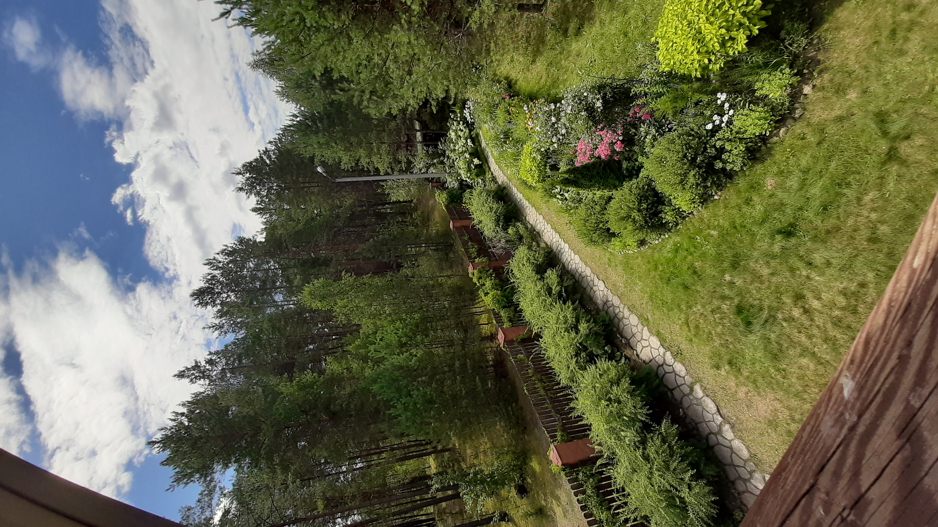 Фото Агроусадьба Лесной Эдем