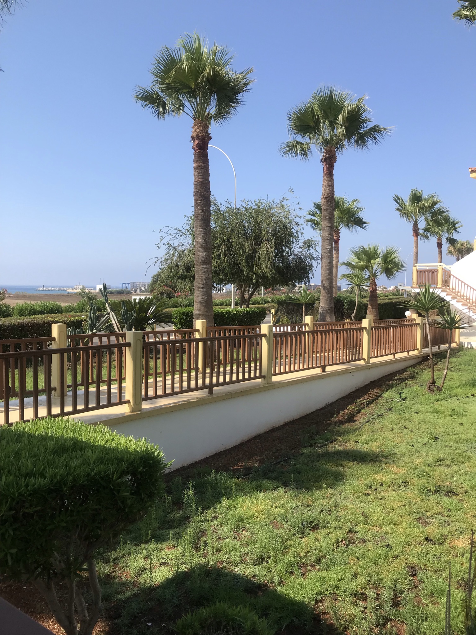 Фото Cosmelenia Hotel Apartments