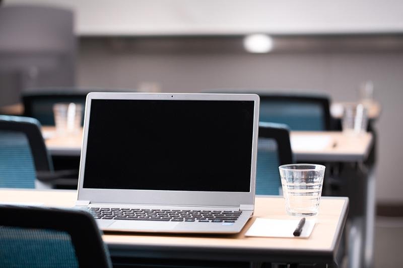 Фото Whistle Lark