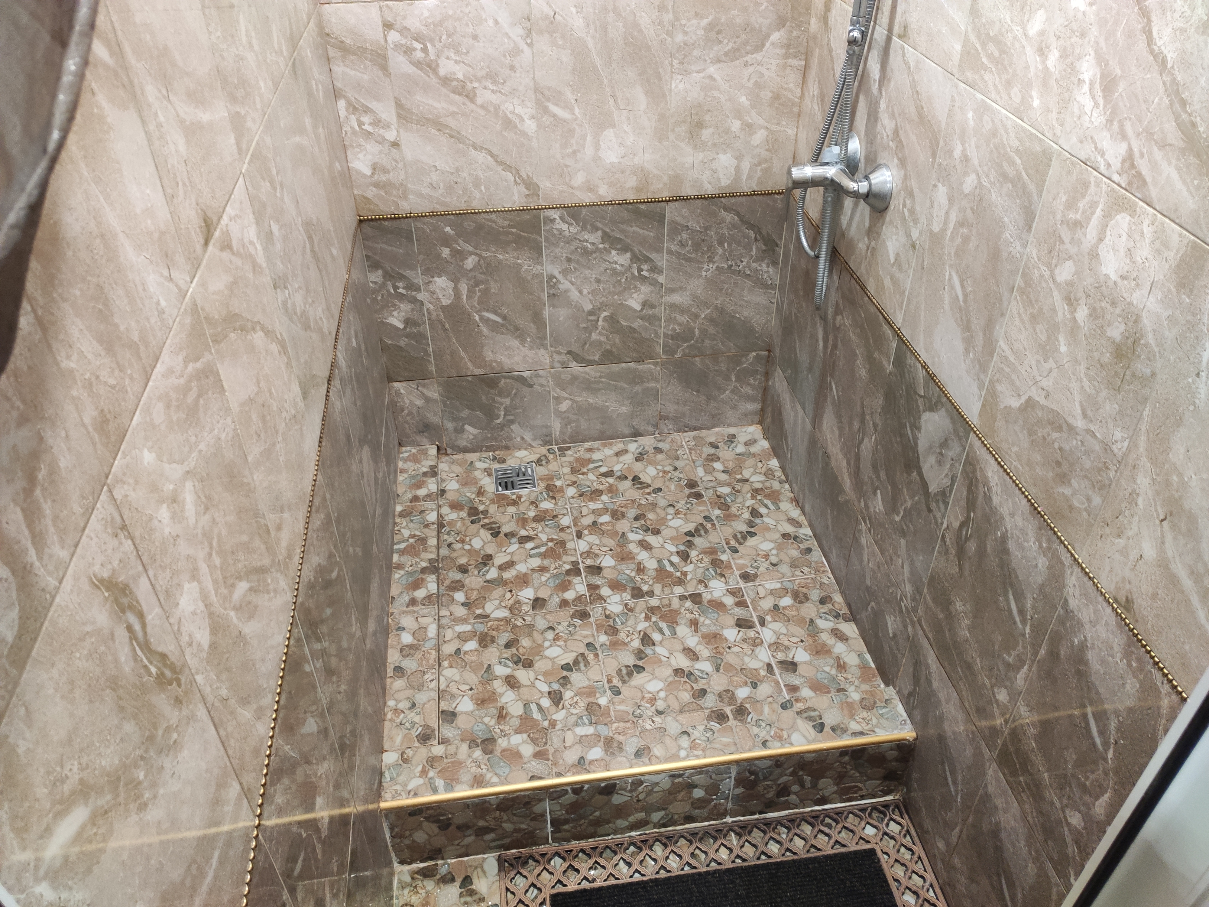 Фото Подсолнух