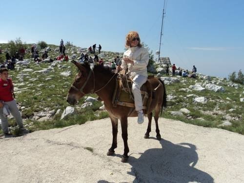 Фото Villa Ro-Ela