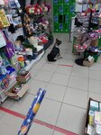 Fix Price (ulitsa Engelsa, 71), home goods store
