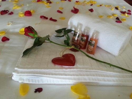 Фото Prinshof Manor Guesthouse