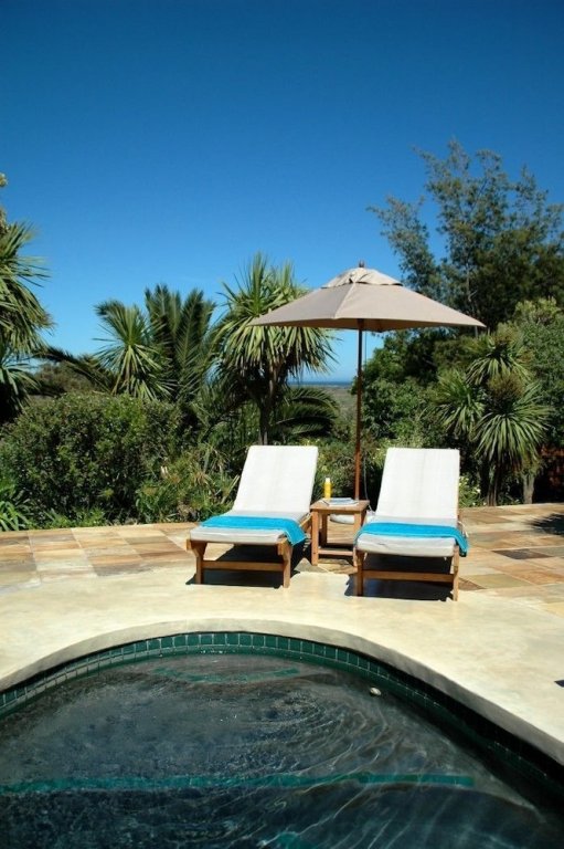 Фото African Queen