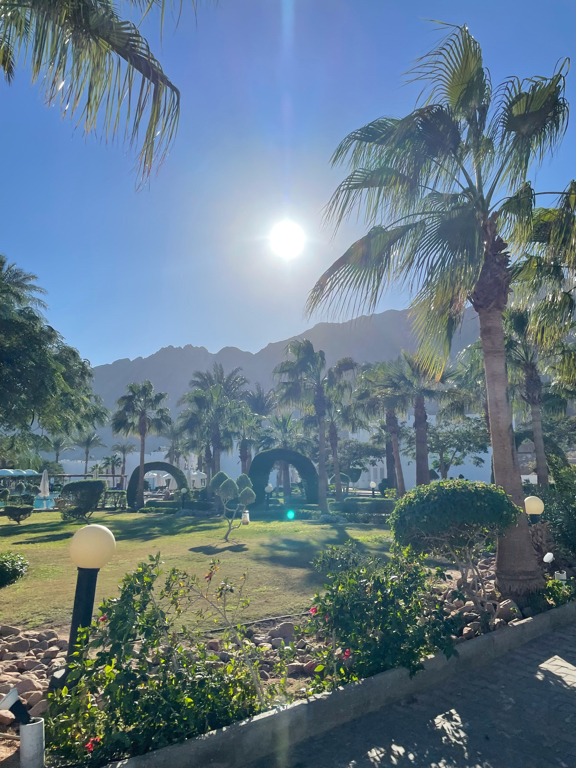 Фото Happy Life Village Dahab
