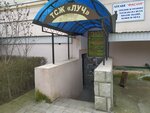 Луч (проспект Победы, 44), hoa, junta directiva de snt