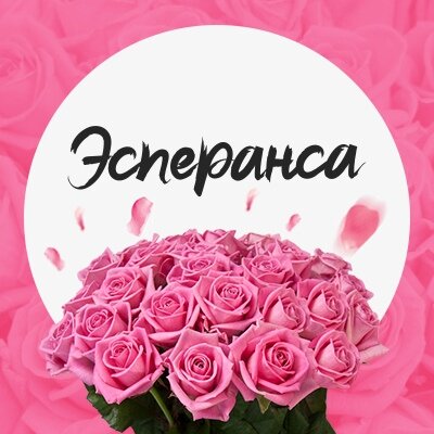 Эсперанса ул капитана егорова 14 фото Салон цветов Эсперанса, магазин цветов, ул. Шевченко, 7Б, Мурманск - Яндекс Карт