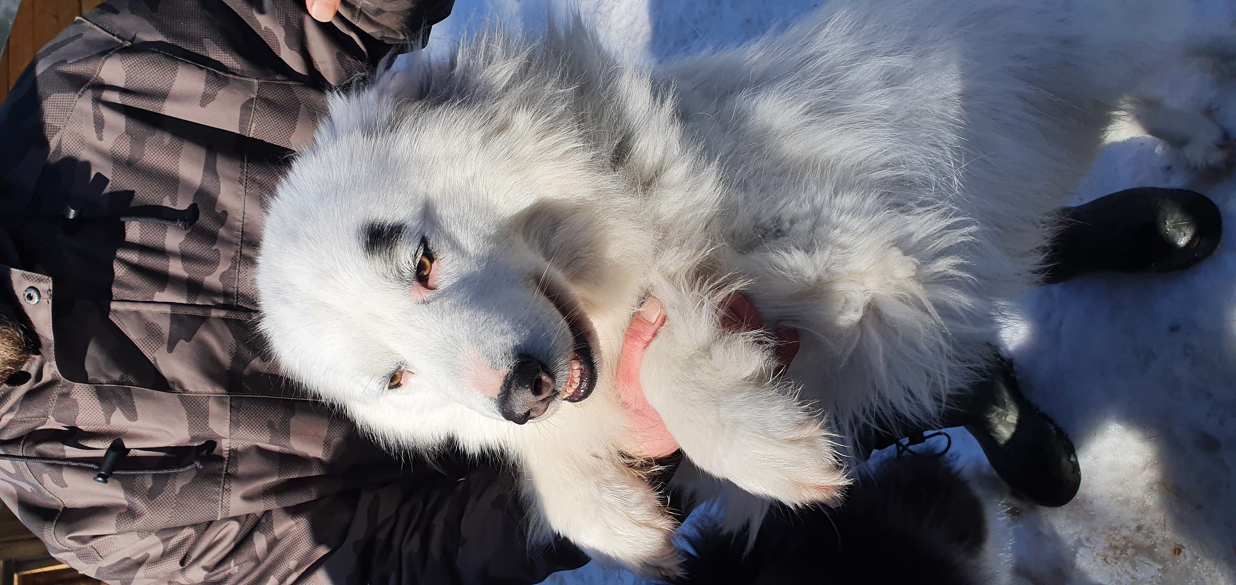Фото Полярный круг