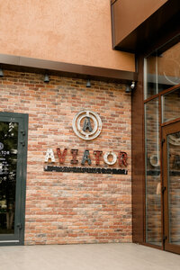 Aviator (Kemerovo, ulitsa Pritomskaya Naberezhnaya, 7), restaurant