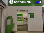 Мегафон (Krasnoarmeyskaya Street, 100), payment terminal