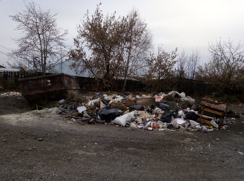 Вывоз мусора и отходов Чистый город, Грязи, фото