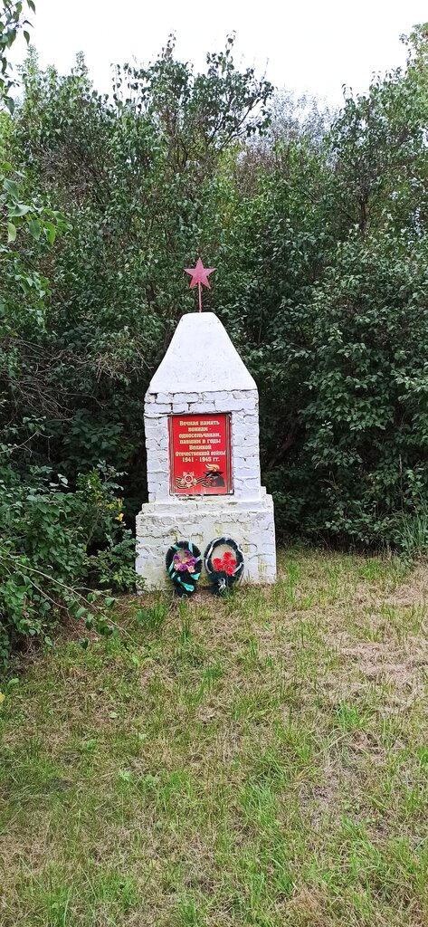 Monument, memorial Обелиск неизвестному солдату, погибшему в годы Великой Отечественной войны, Bryansk Oblast, photo