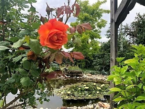 Гостиница Au Relais De L'Ill в Мольсайме