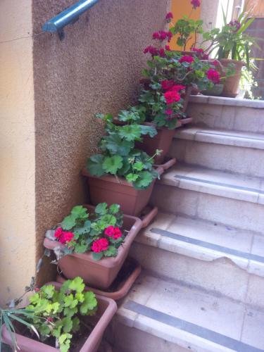 Фото Mariam Hotel