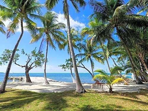 Фото La Jolla Resort