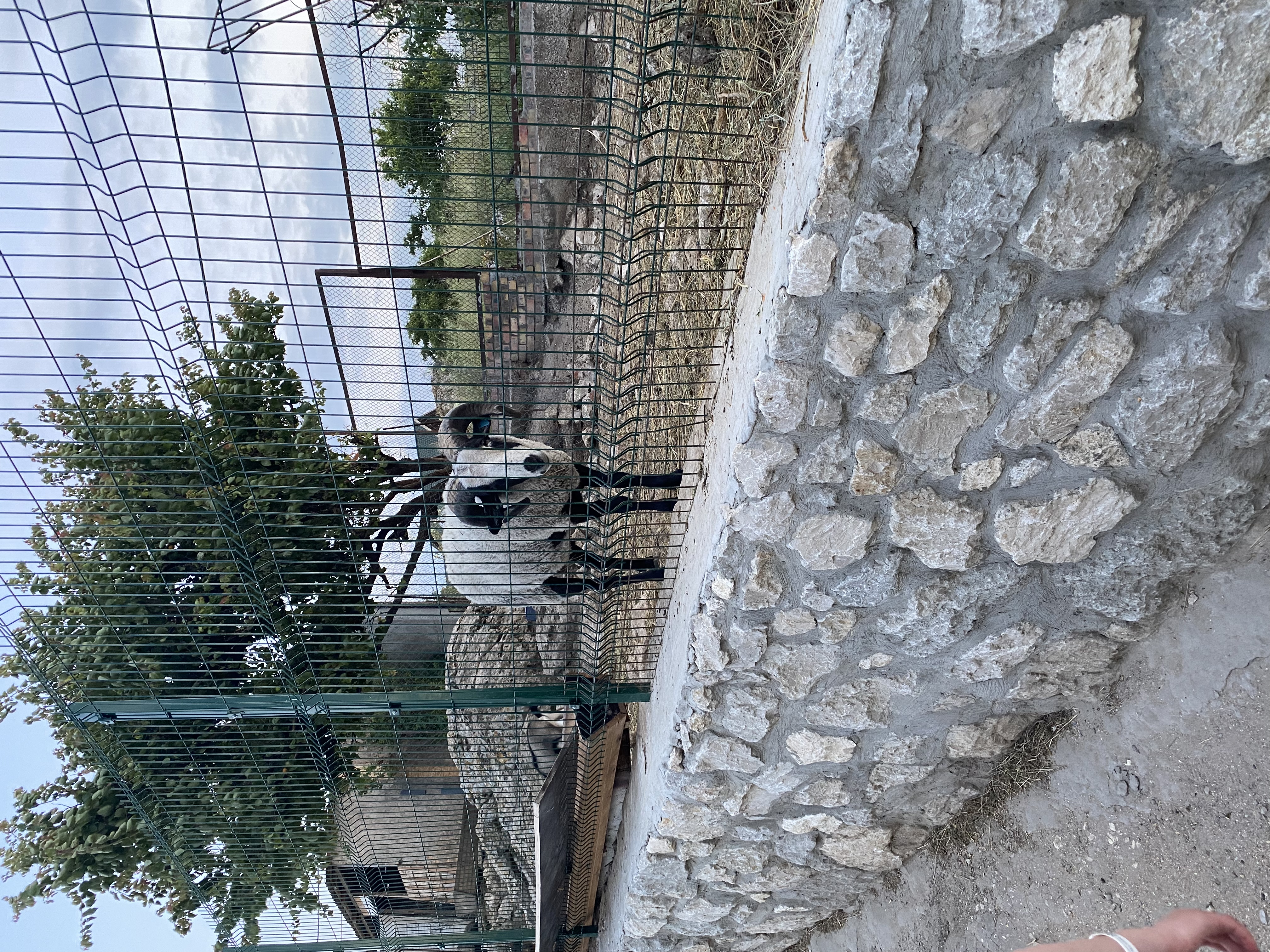 Фото Riga Village Resort