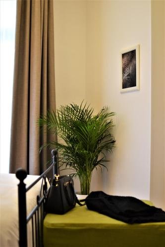 Фото Residenza Madonna