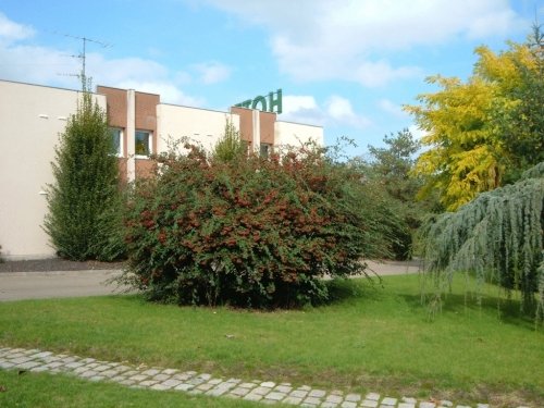 Фото отеля 3