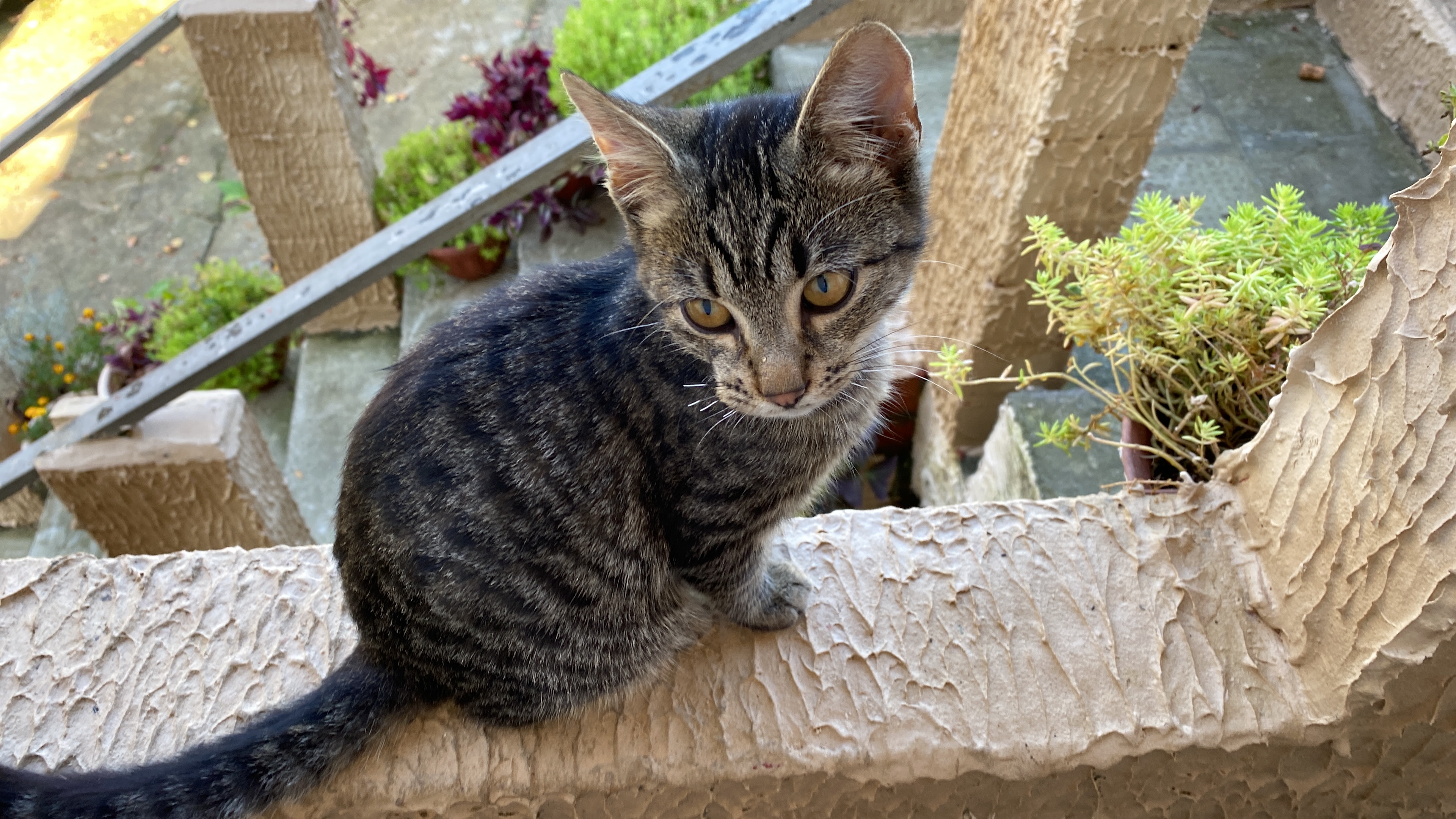 Фото Тихий дворик