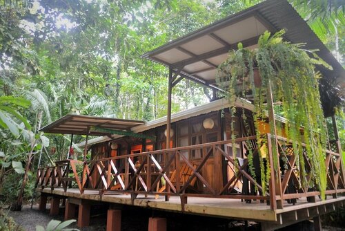 Апартаменты Pachamama Jungle River Lodge в Провинции Лимон