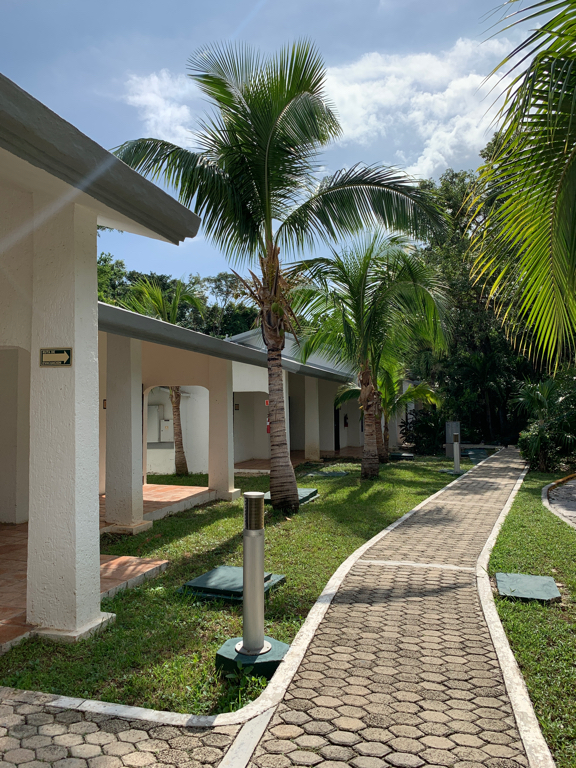 Фото Hotel Riu Lupita 