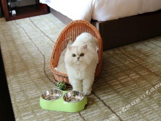 Фото Millennium Resort Hangzhou