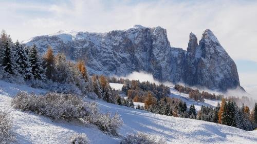 Фото Apartment Hotel Elvis