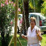 Casa De Reposo La Posada Del Señor (Distrital Lince, Avenida Julio César Tello, 545), nursing home