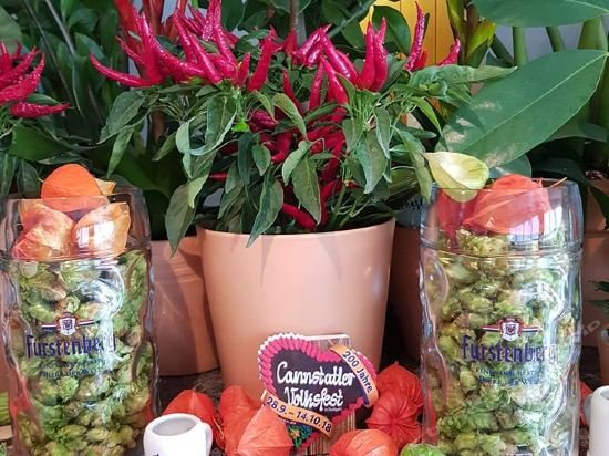 Фото Hotel Unger