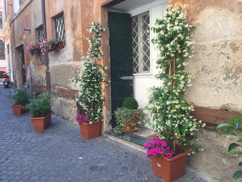 Фото Nl Trastevere