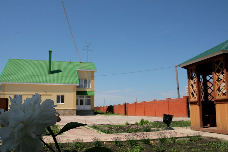 Фото Солнечный